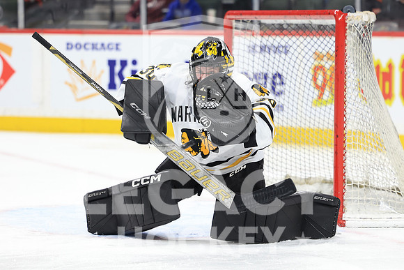 New Ulm vs Warroad