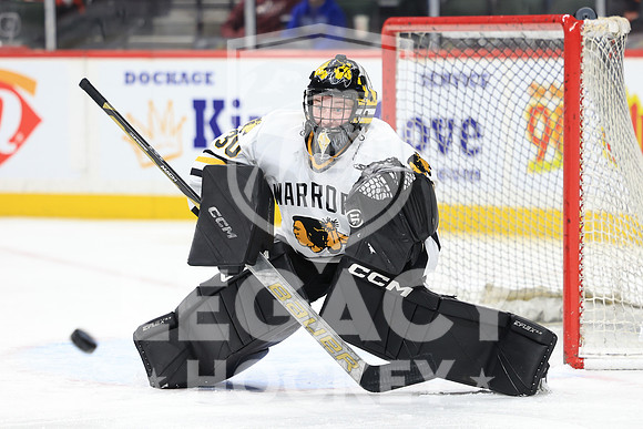 New Ulm vs Warroad