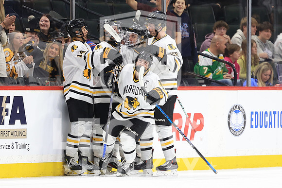 New Ulm vs Warroad