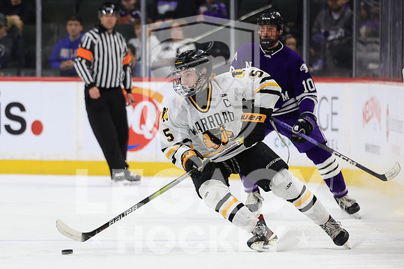 New Ulm vs Warroad