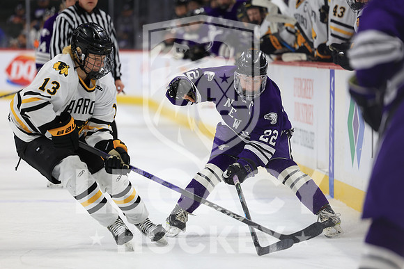 New Ulm vs Warroad