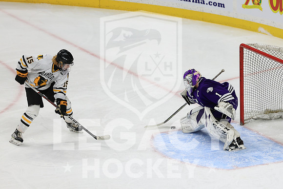 New Ulm vs Warroad