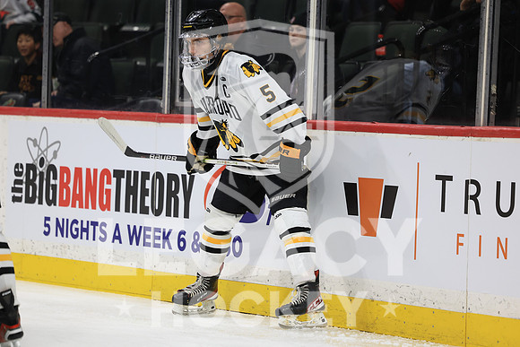 New Ulm vs Warroad
