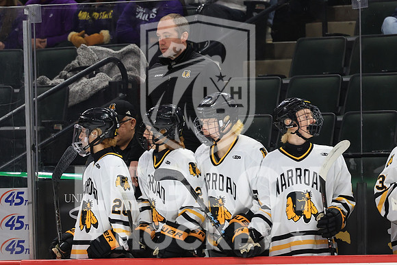 New Ulm vs Warroad