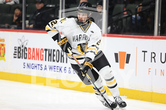 New Ulm vs Warroad