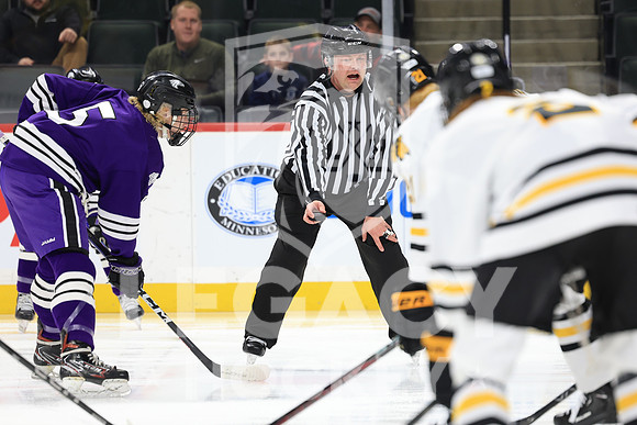New Ulm vs Warroad