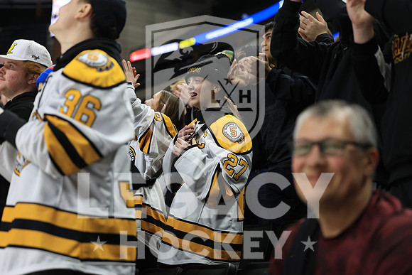 New Ulm vs Warroad