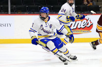 Northfield Raiders vs St. Cloud Cathedral Crusaders