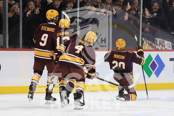 Northfield Raiders vs St. Cloud Cathedral Crusaders