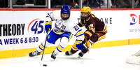 Northfield Raiders vs St. Cloud Cathedral Crusaders