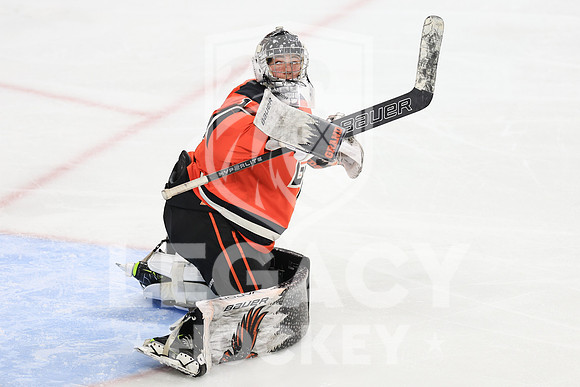 Grand Rapids vs White Bear Lake