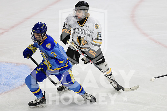 St. Cloud Cathedral vs Warroad