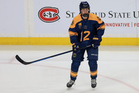 Mahtomedi vs Hermantown