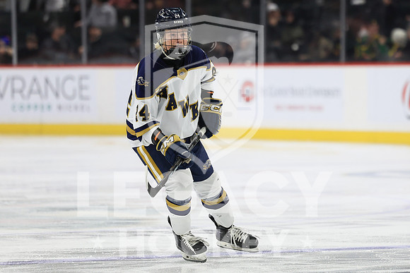 Mahtomedi vs Hermantown
