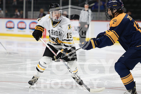 Grand Rapids vs Edina