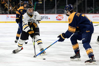 Grand Rapids vs Edina