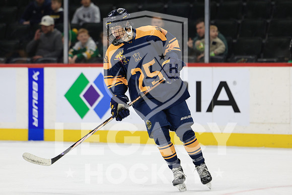 Grand Rapids vs Edina
