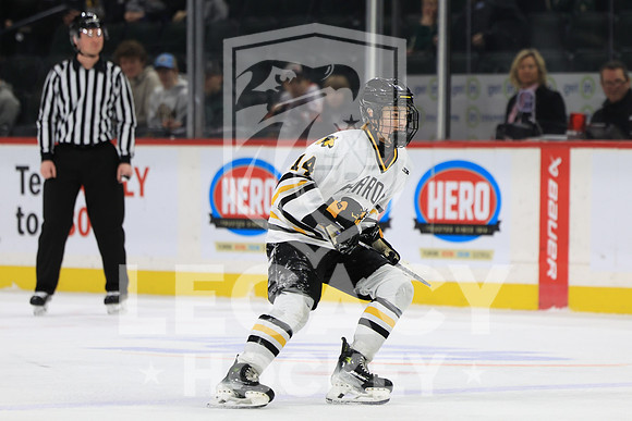 Grand Rapids vs Edina