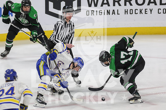 East Grand Forks vs St. Cloud Cathedral