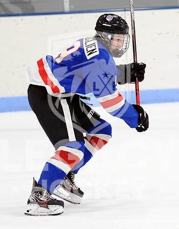 Thor Byfuglien, Roseau