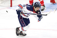 Luverne vs Hibbing/Chisholm