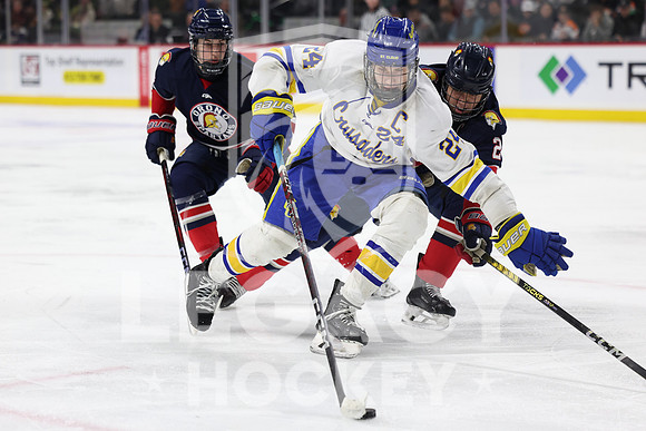 Orono vs St. Cloud Cathedral