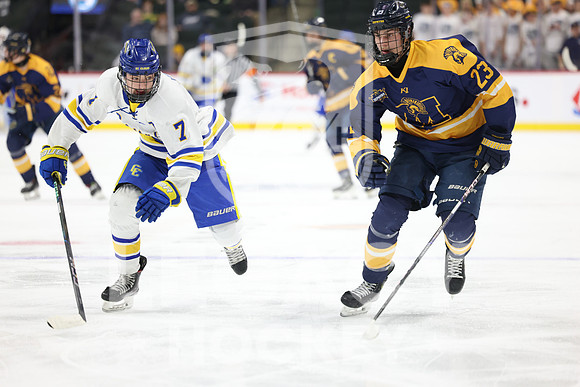 Mahtomedi vs St Cloud Cathedral